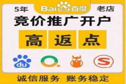 竞价广告赚钱之道：百度案例解析